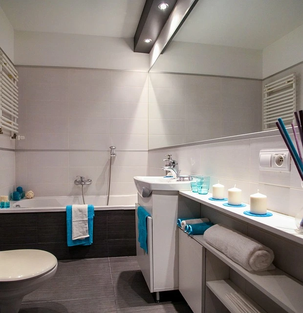 Juegos de Baño